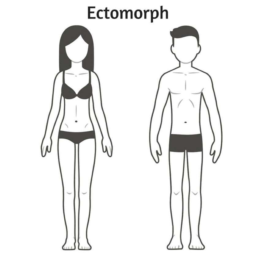 Como Ganhar Massa Sendo Ectomorfo